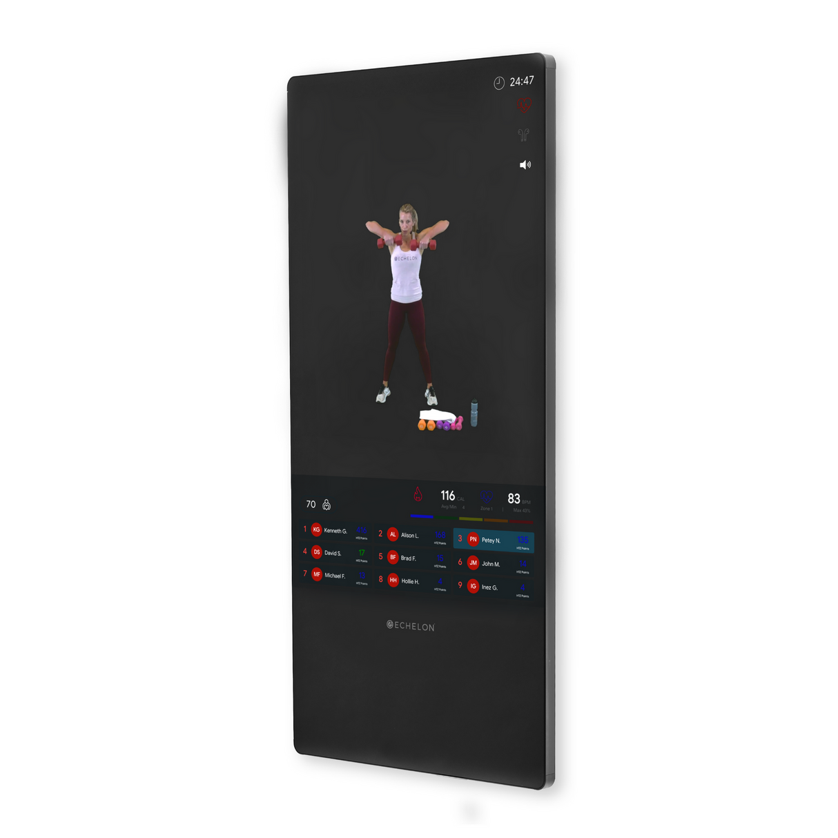 Echelon Reflect 50 Inch Touchscreen Smart Mirror - Final Stock Echelon Modular; preacher curl, vkr, ab, roman chair Rectangle29_34e9d648-5c8b-44e6-be72-887060c68dfd
