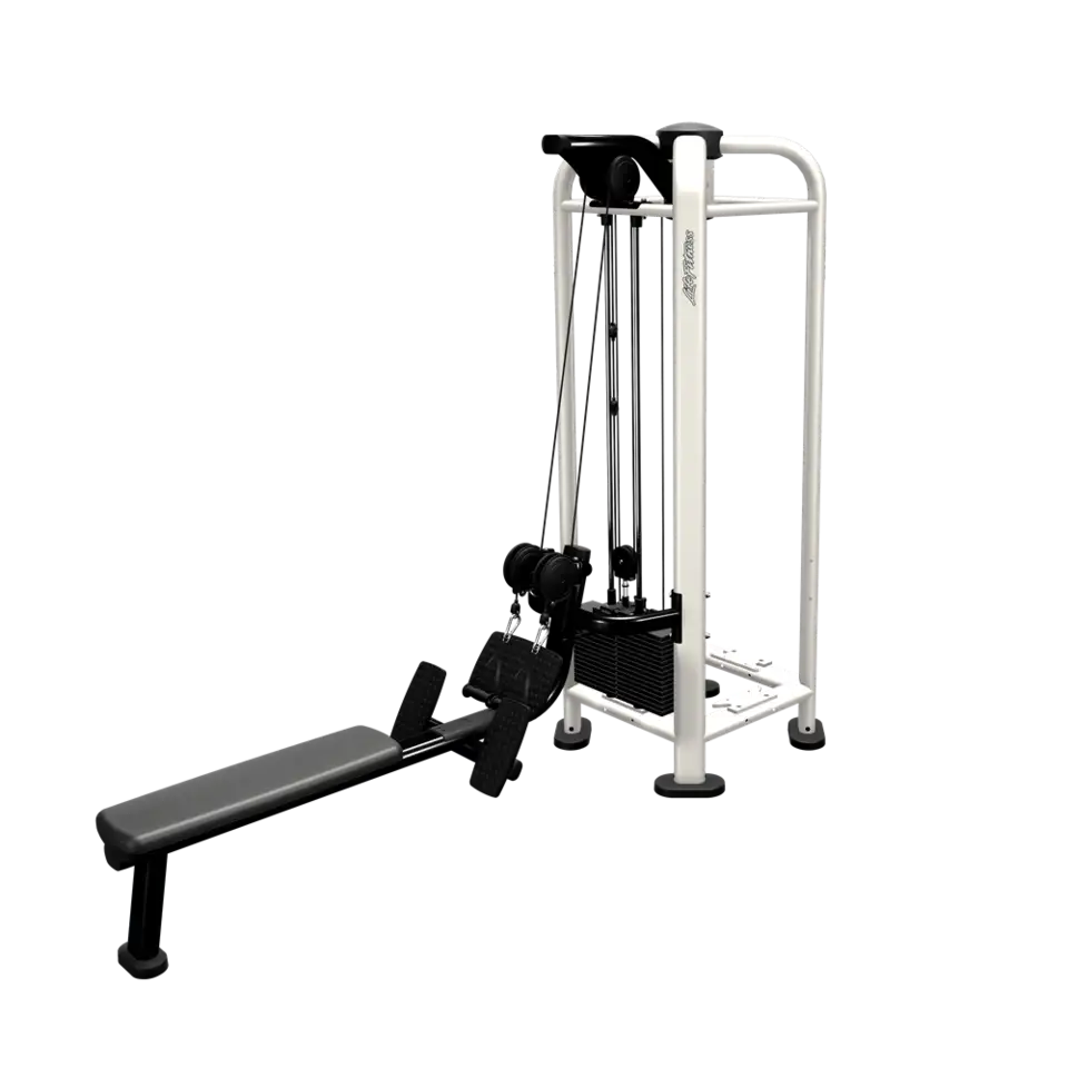 Life Fitness - PWR Play Dual Cable Row Life Fitness MJ Station, 1 stack life-fitness_pwr-play-dual-cable-row_main