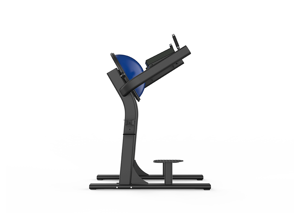 Shua G6386 Leg Raise leg raise station, studio render 1 of 3