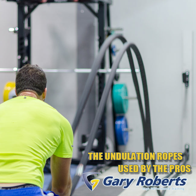 XM Fitness Commercial 30' Battle Rope with Sleeve XM Fitness Agility and Speed; jump ropes, climbing and battle ropes, ladders, sled, interval timer undulation-rope-gary-roberts