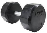 Troy 12-sided rubber dumbbell with visible logo