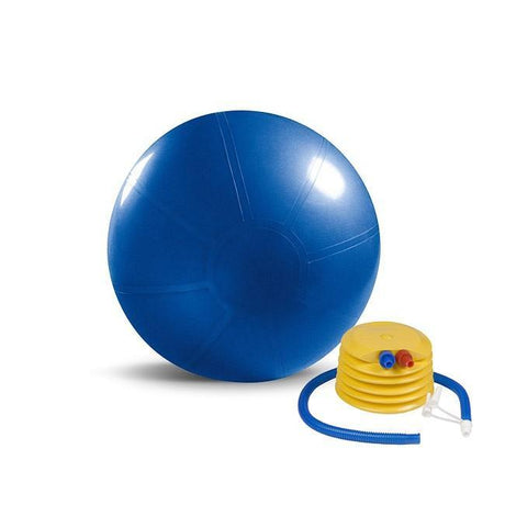 Beachbody Premium Stability Ball Beachbody Balance and stability; bosu, swiss, plyo-box beachbody_beachbody-premium-stability-ball_main