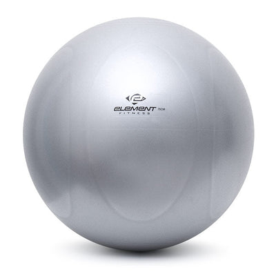 Element Fitness Commercial Stability Ball