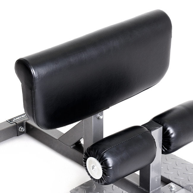 Element Fitness Sissy Squat Element Fitness Miscellaneous strength accessories, push up bars, chin up bars, trx, gym rings element-fitness_sissy-squat_view-4