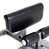 Element Fitness Sissy Squat Element Fitness Miscellaneous strength accessories, push up bars, chin up bars, trx, gym rings element-fitness_sissy-squat_view-4