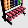 Troy - Lockable Aerobic Accessory Rack - Holds 6 pairs Troy Dumbell racks, power block stand, plate and bar storage, kettlebell racks, ball racks troy_lockable-aerobic-accessory-rack-holds-6-pairs_main