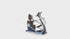 Inspire CS3.1 Cardio Strider