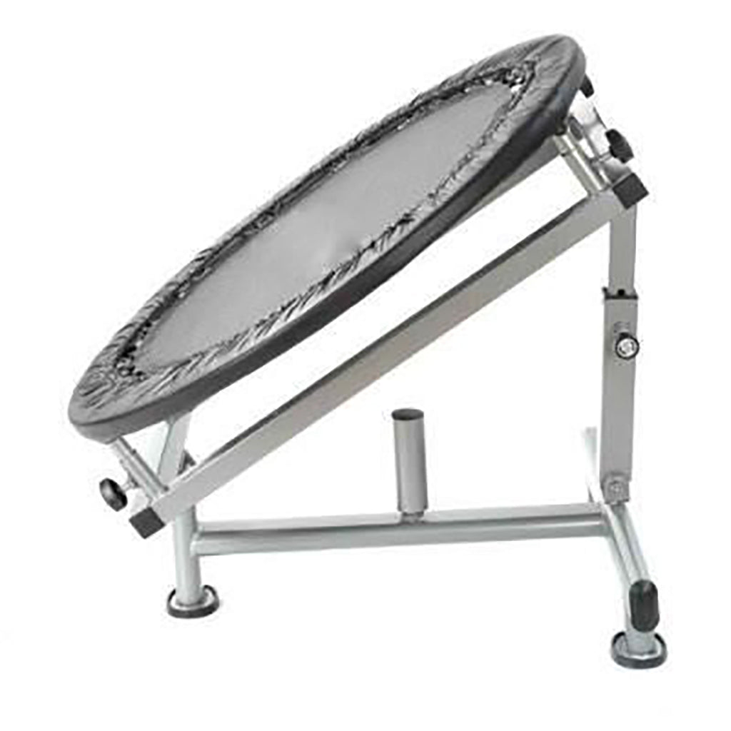 Medicine Ball Rebounder XM Fitness Modular; preacher curl, vkr, ab, roman chair 1346872621-2_medicine-ball-rebounder-for-abs-core-cross-fit-training_large_02b342b2-4e90-4817-9e5c-ec8727b92856